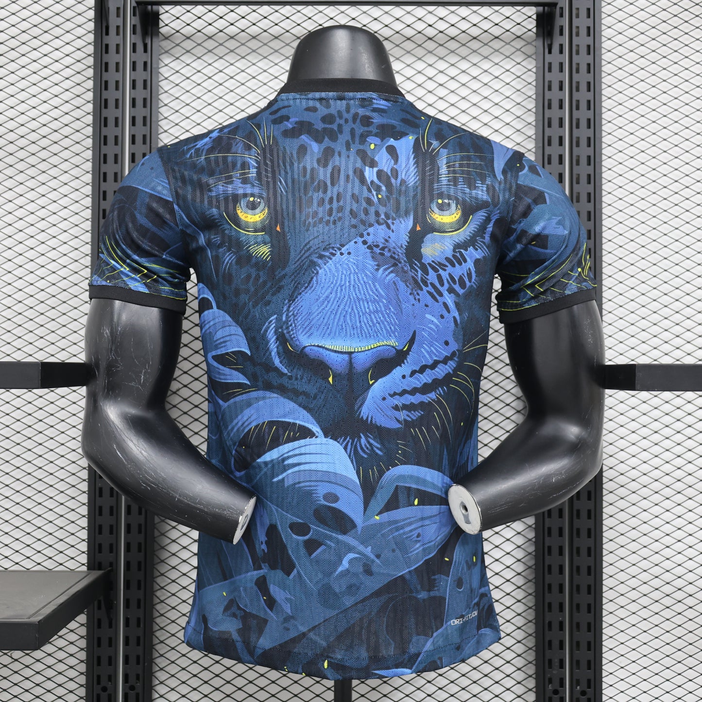 Brazil Concept Kit