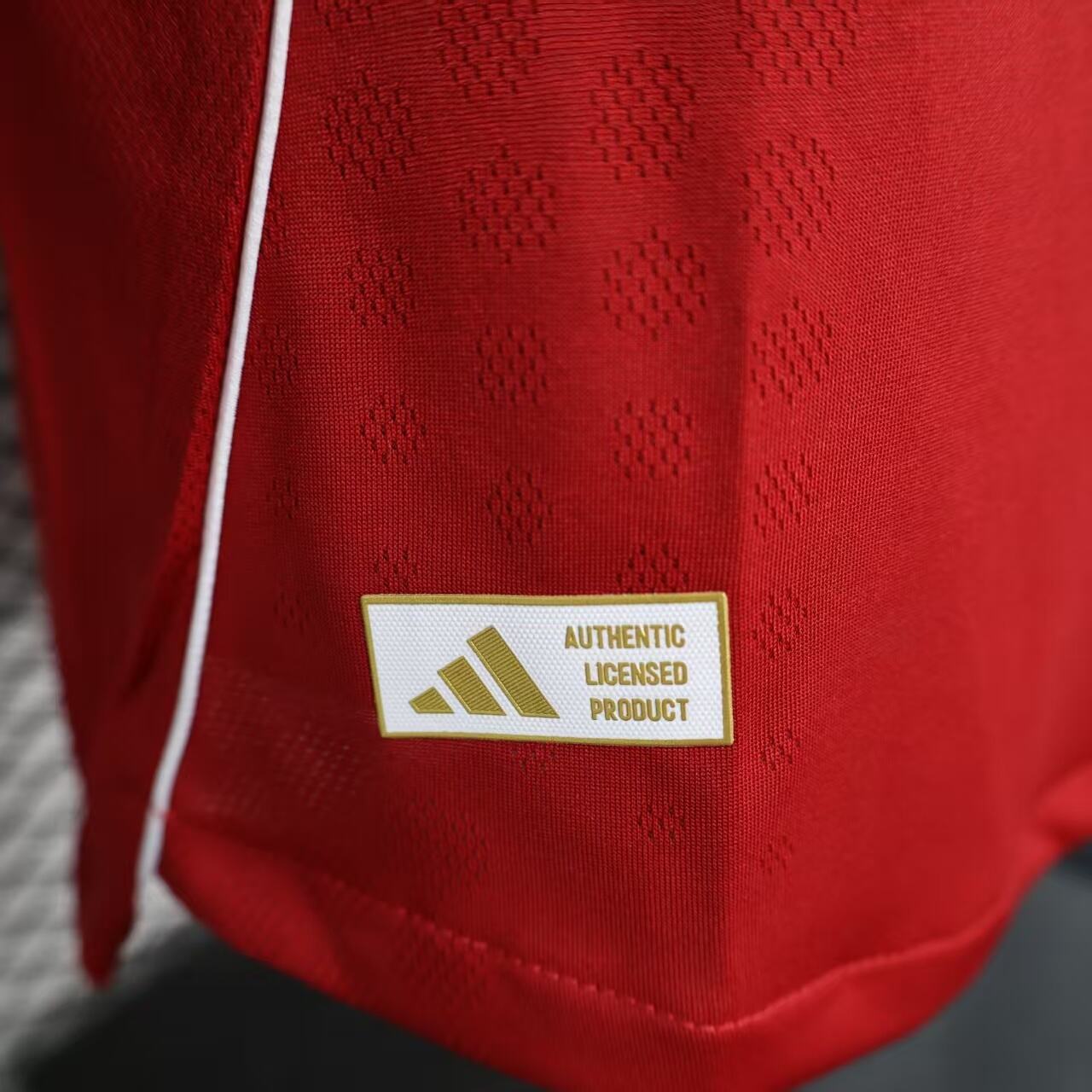 Long Sleeve - Liverpool FC 2025/26 Home Shirt - Pro Version