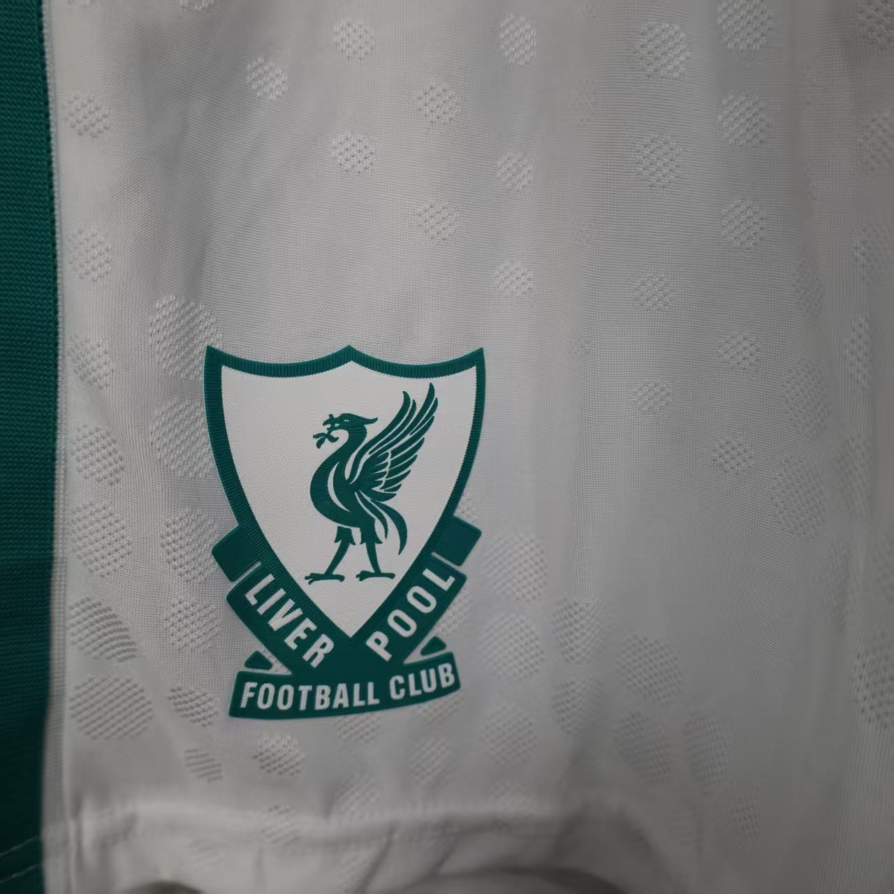 Liverpool FC 2025/26 Third Shorts - Pro Version