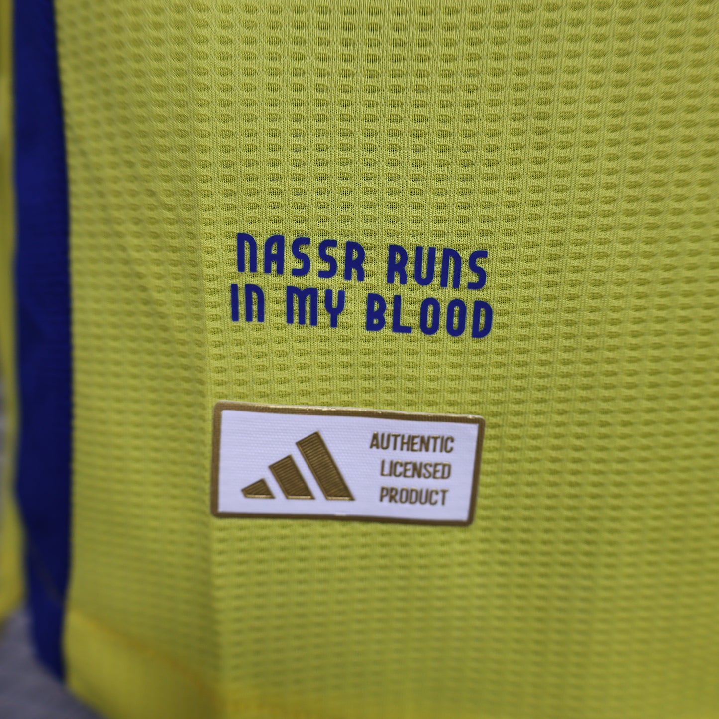 Al Nassr 2024/2025 Home