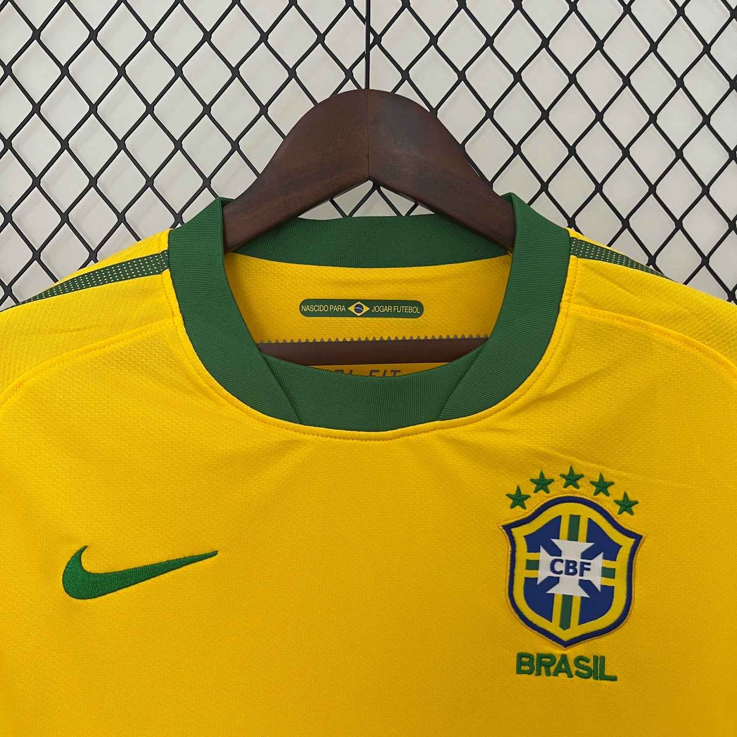 Brazil 2010 Home