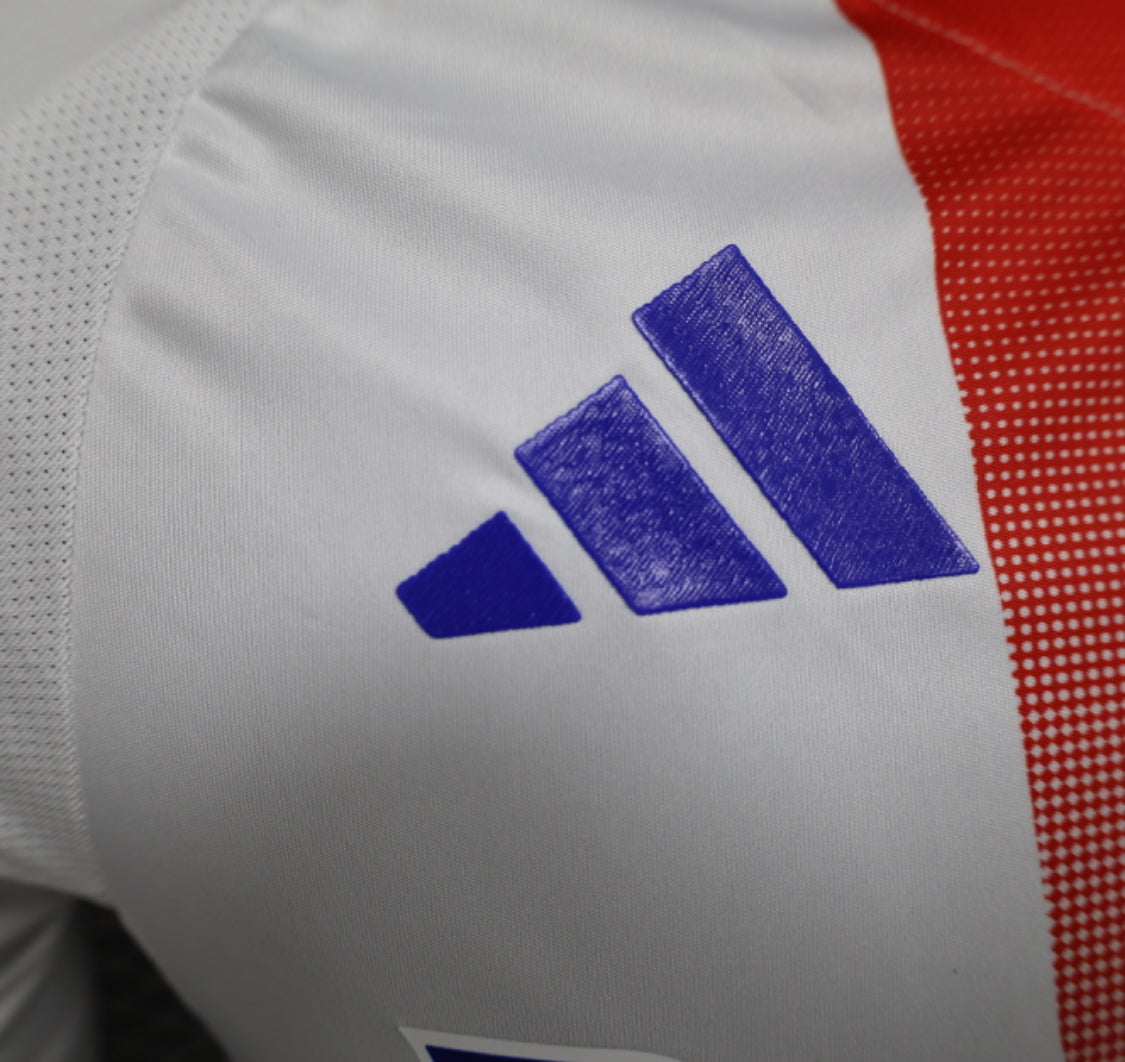 Olympique Lyonnais 2024/2025 Home