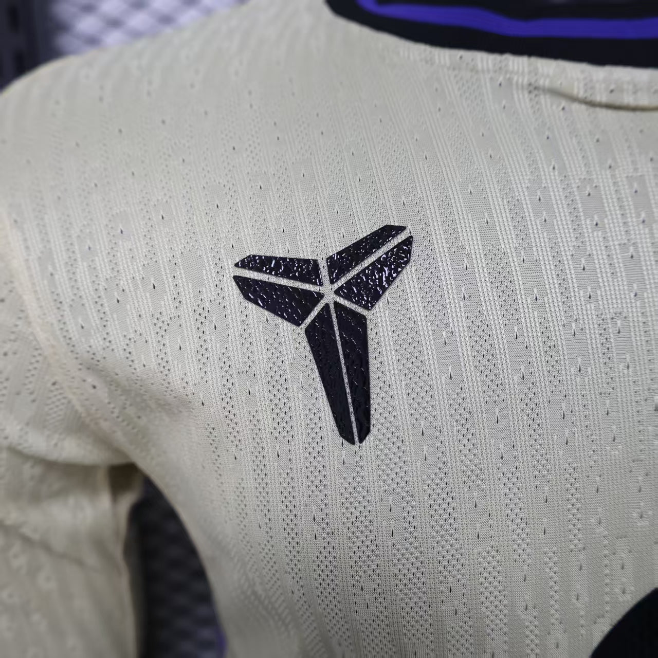 Long Sleeve - FC Barcelona 2025/26 Home Shirt - Pro Version